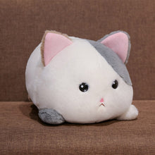 Load image into Gallery viewer, UwU Chonky Cat Plush ฅ(＾・ω・＾ฅ)
